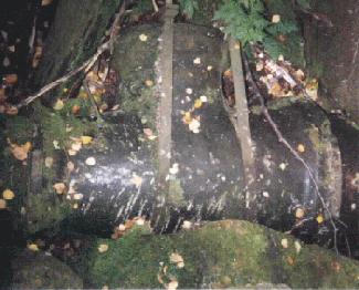 pipe fitting coming from Baltic feed