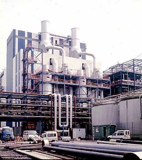 plant photograph, Mons Belgique