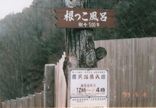 No.16 ���������C�̊Ŕ�