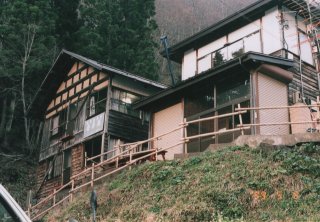 No.17 ��ȉ��S�i