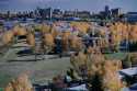 Calgary, Alberta (Fall)