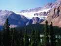 Crowfoot Glacier